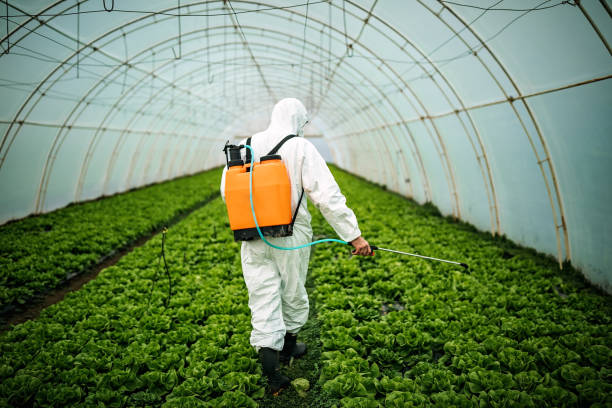 Best Best Pest Control Companies  in Kings Bay Base, GA
