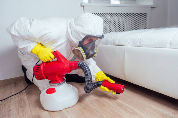 Best Pest Removal Services  in Kings Bay Base, GA