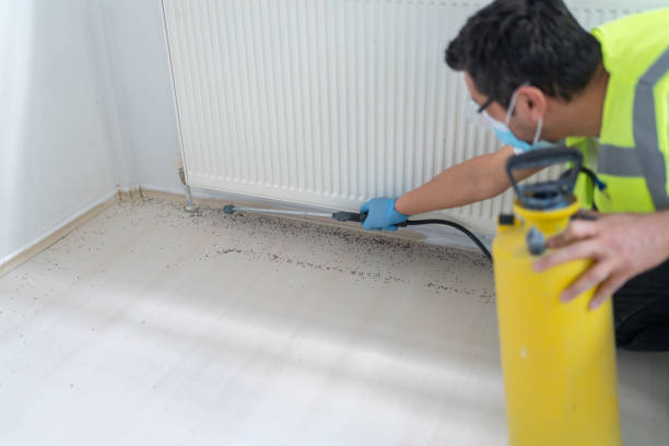 Reliable Kings Bay Base, GA Pest Control Solutions